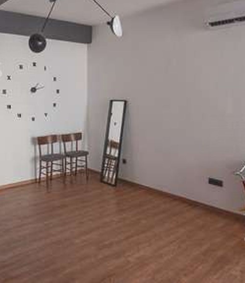 Salonski stan u centru Arandjelovca 2