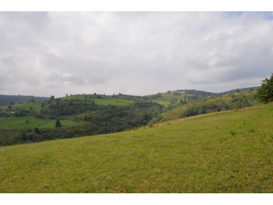 Prodajem polu sumsko zemljiste u blizini Uvca 1