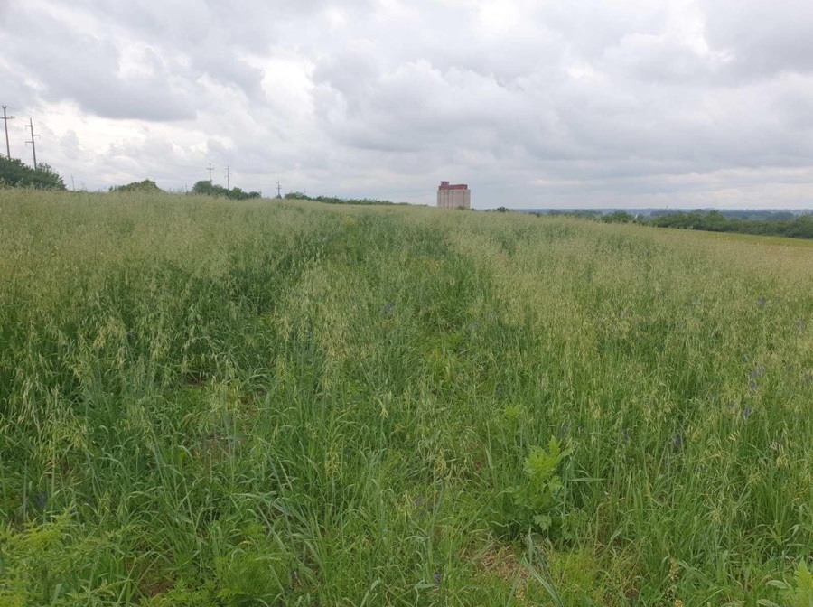 Plac Cukarica Ostruznica 2