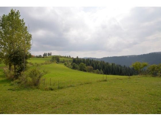 Prodajem polu sumsko zemljiste u blizini Uvca 2