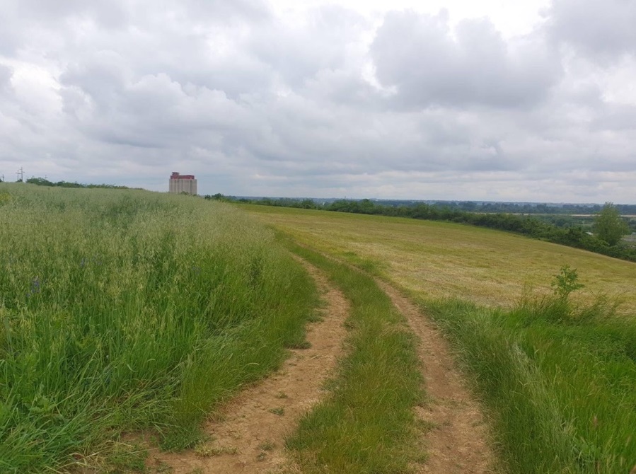 Plac Cukarica Ostruznica 4