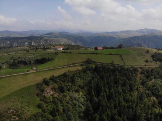 Prodajem polu sumsko zemljiste u blizini Uvca 3