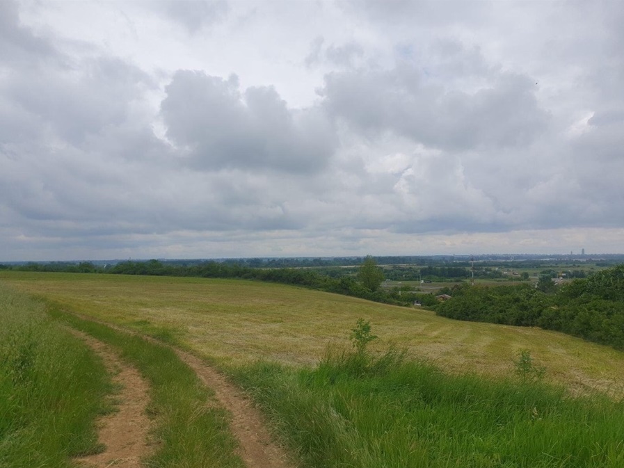 Plac Cukarica Ostruznica 5