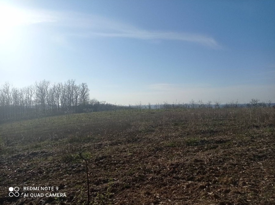 Parcela Slatina Ub 4