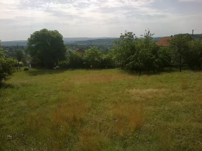 Plac  suma  56 ari Sopot Kosmaj 