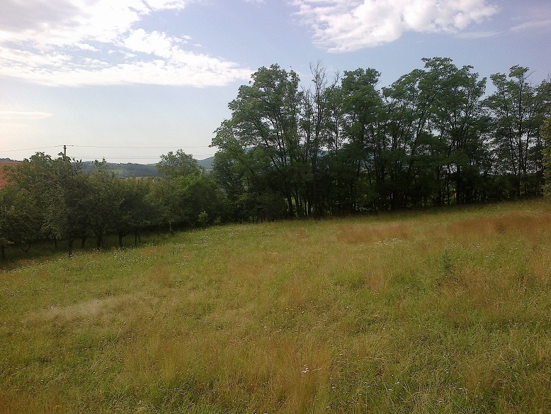 Plac  suma  56 ari Sopot Kosmaj 2