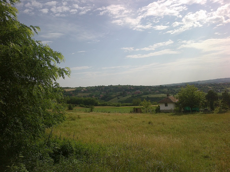 Plac  suma  56 ari Sopot Kosmaj 3