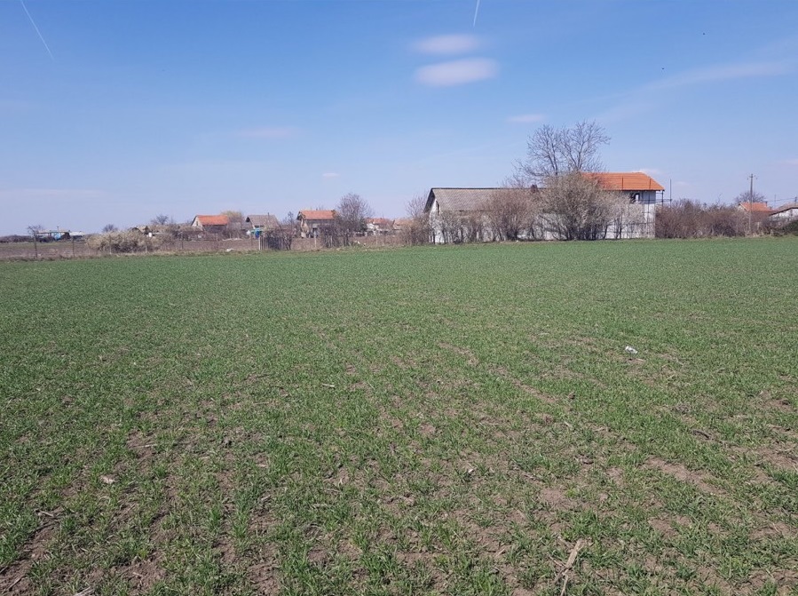 Industrijsko zemljiste Simanovci Pecinci Karlovcic 3