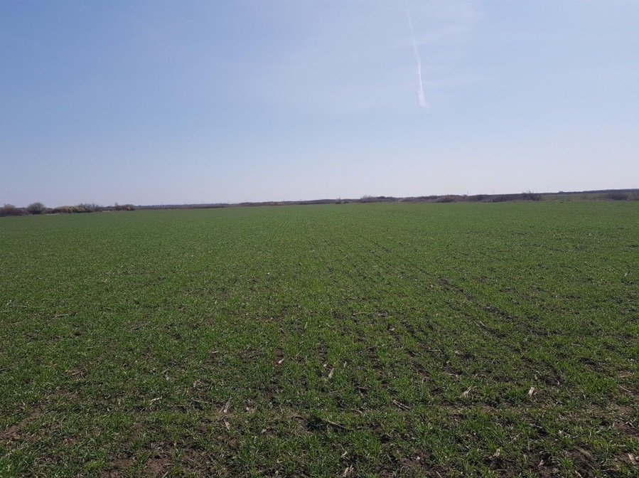 Industrijsko zemljiste Simanovci Pecinci Karlovcic 4