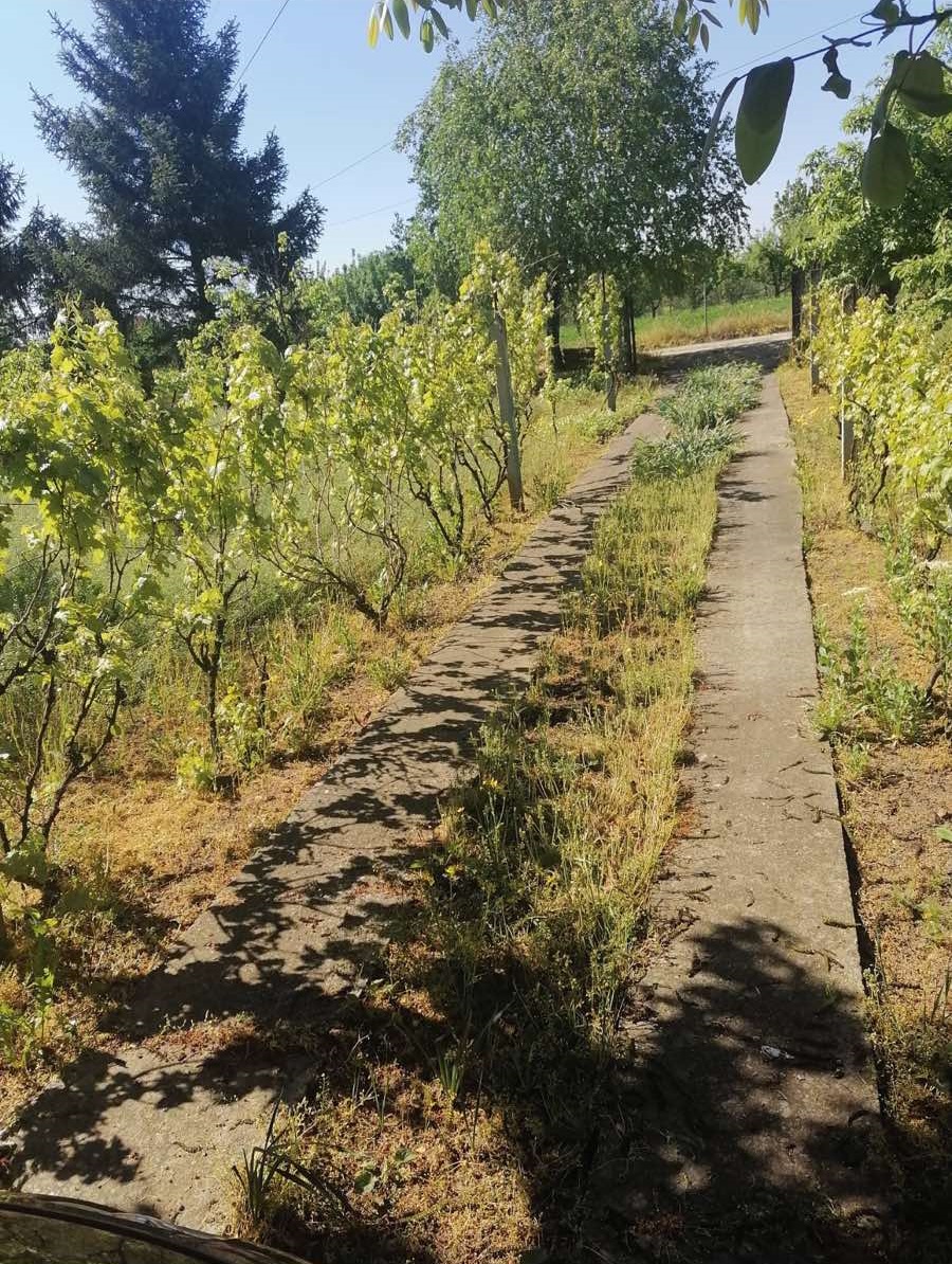 Basta 10 ari sa legalnim nedovrsenim objektom 3