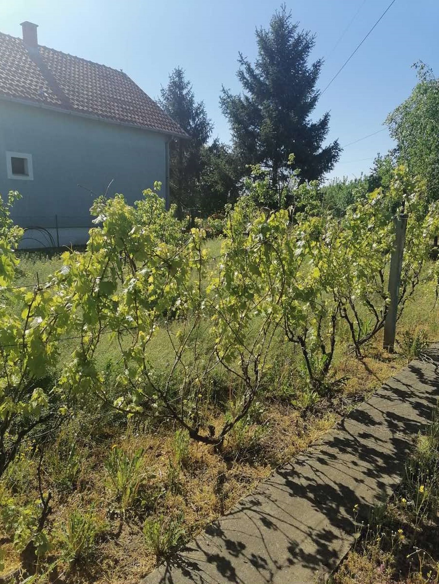 Basta 10 ari sa legalnim nedovrsenim objektom 5