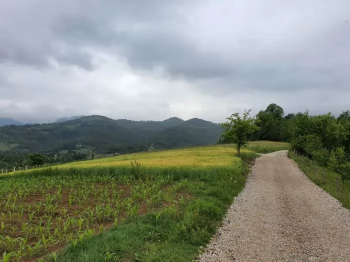 Prodajem kucu sa placem na Tari 