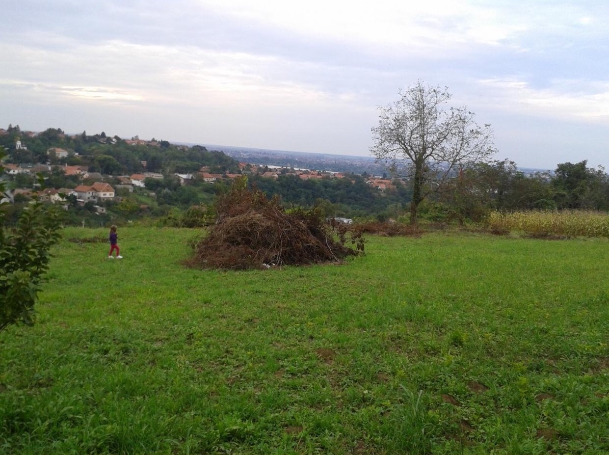 Plac na Fruskoj Gori 1