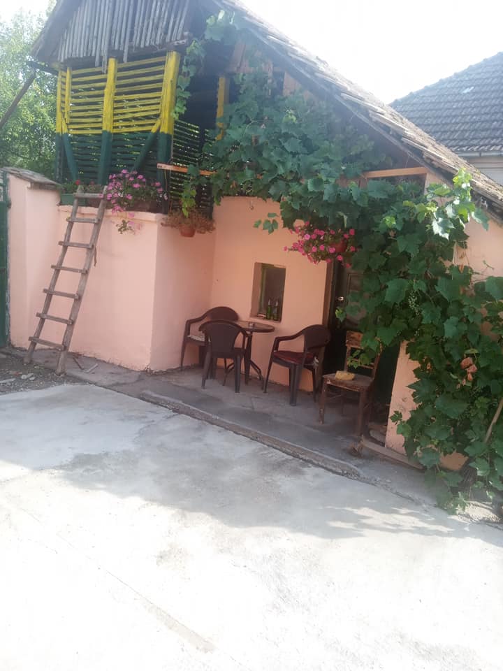 Prodajem kucu Hajducica kod Plandista 2