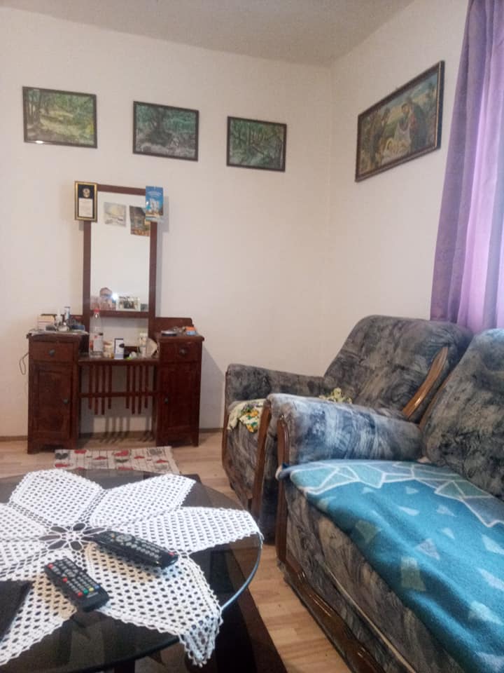 Prodajem kucu Hajducica kod Plandista 3