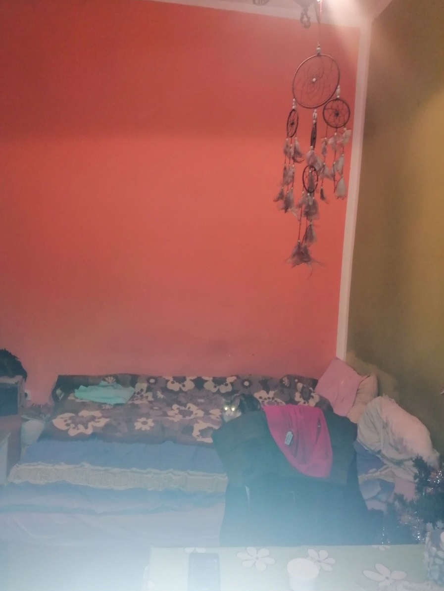 Garsonjera u Zemunu 2