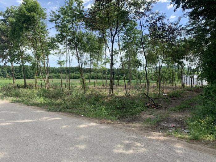 Plac 10 61 ari  Gruzansko jezero 7