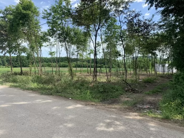 Plac 10 61 ari  Gruzansko jezero 