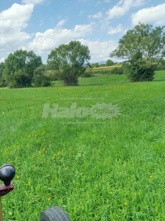 Livada idealna za dunje i kucu pored malog jezera 1