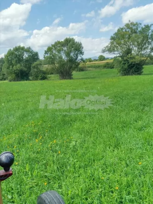 Livada idealna za dunje i kucu pored malog jezera 