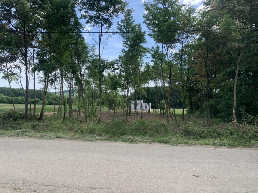 Plac 10 61 ari  Gruzansko jezero 2