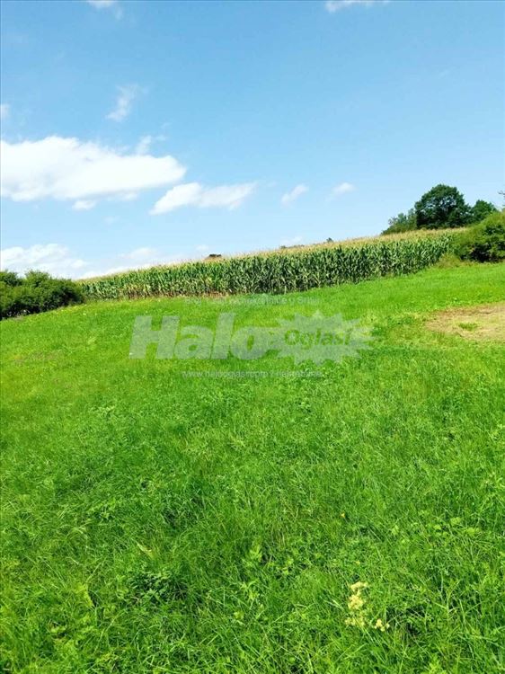 Livada idealna za dunje i kucu pored malog jezera 2