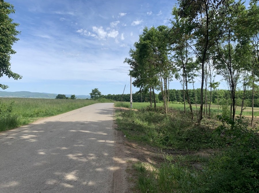 Plac 10 61 ari  Gruzansko jezero 4