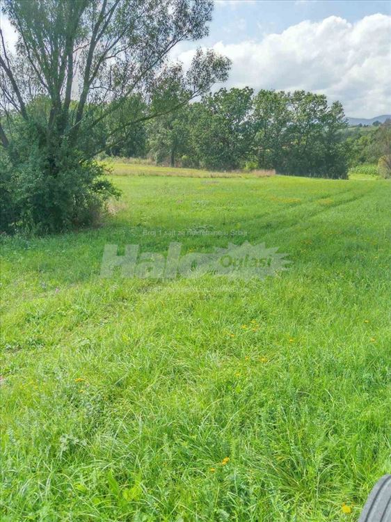 Livada idealna za dunje i kucu pored malog jezera 4