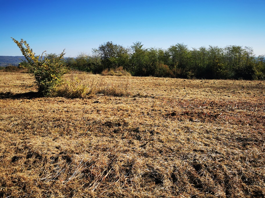Plac Vrdnik Fruska Gora 31 ar 2