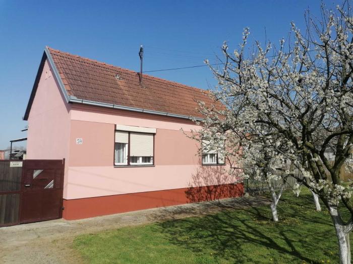 Prodajem porodicnu kucu Hrtkovci Ruma 7