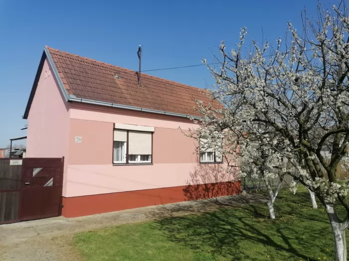 Prodajem porodicnu kucu Hrtkovci Ruma 