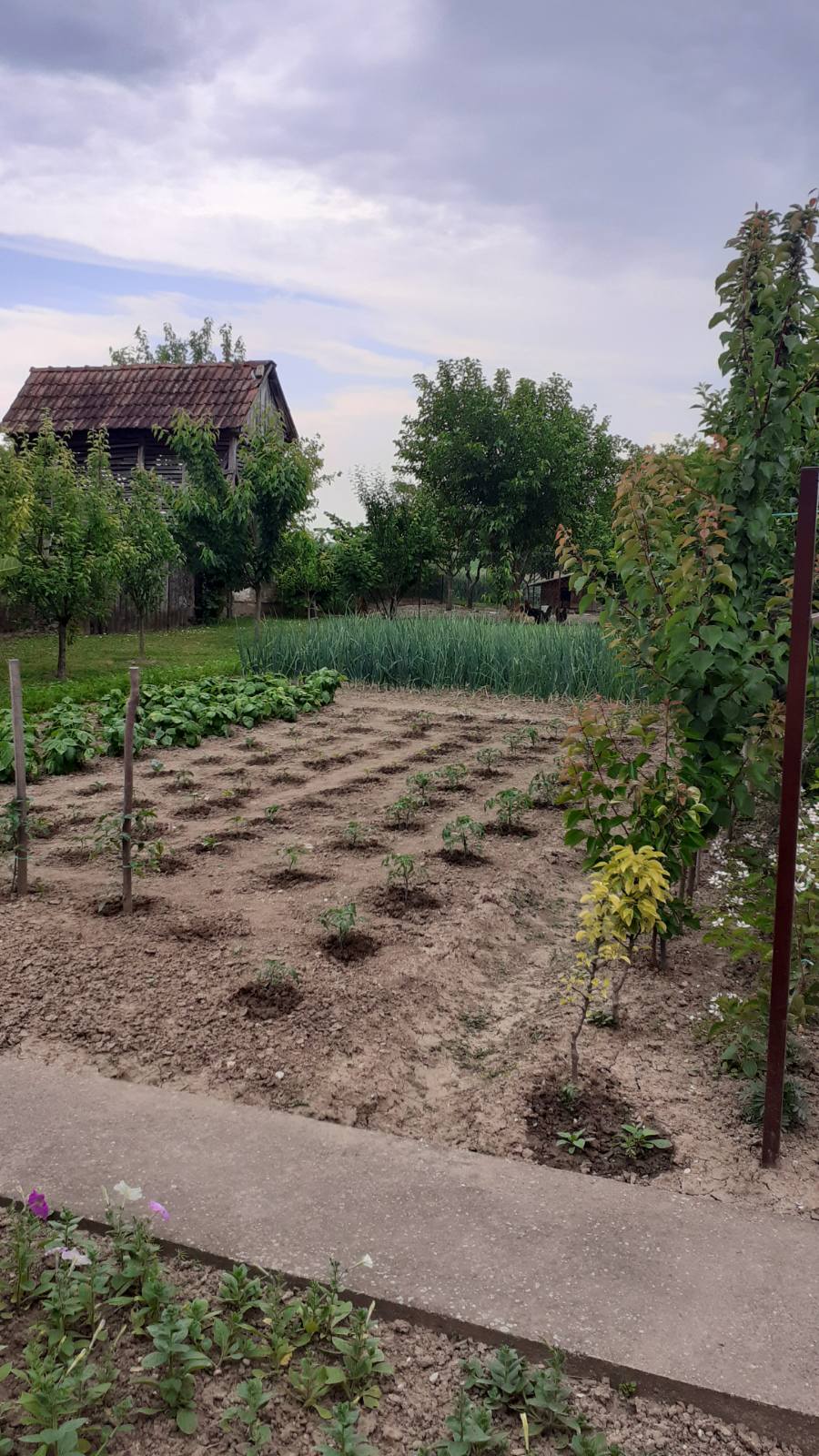 Prodajem porodicnu kucu Hrtkovci Ruma 5