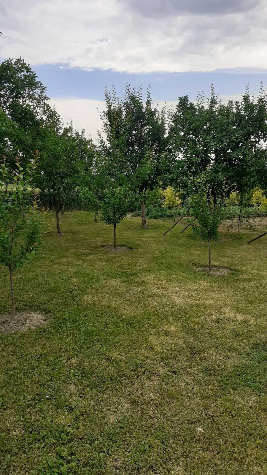 Prodajem porodicnu kucu Hrtkovci Ruma 4