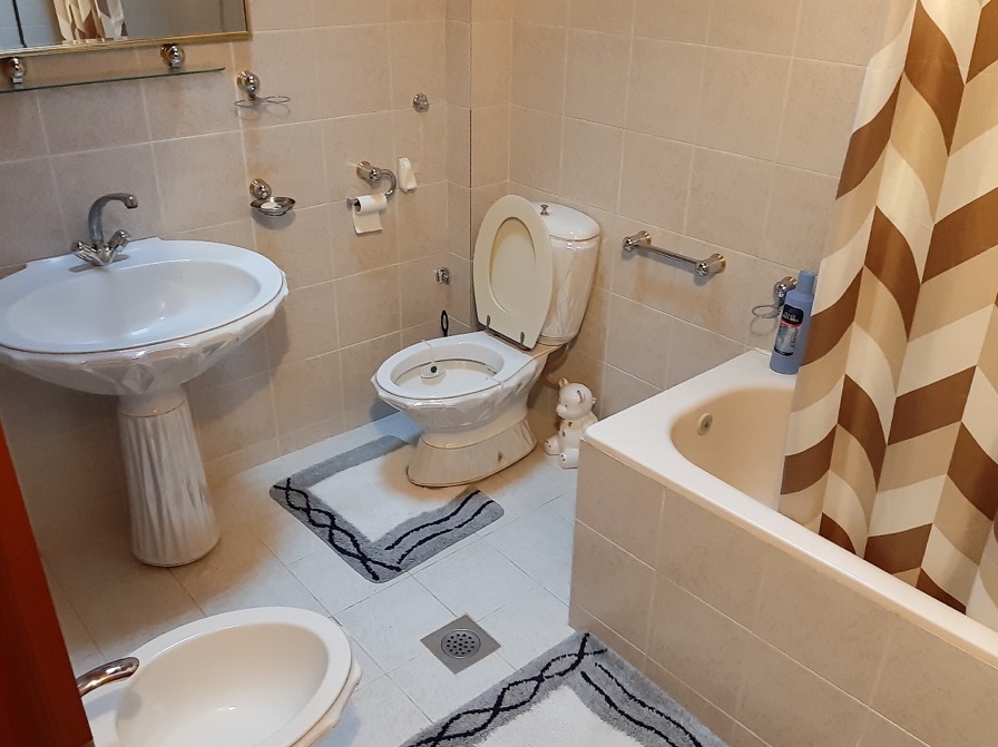 Prodajem kucu u Indjiji 5