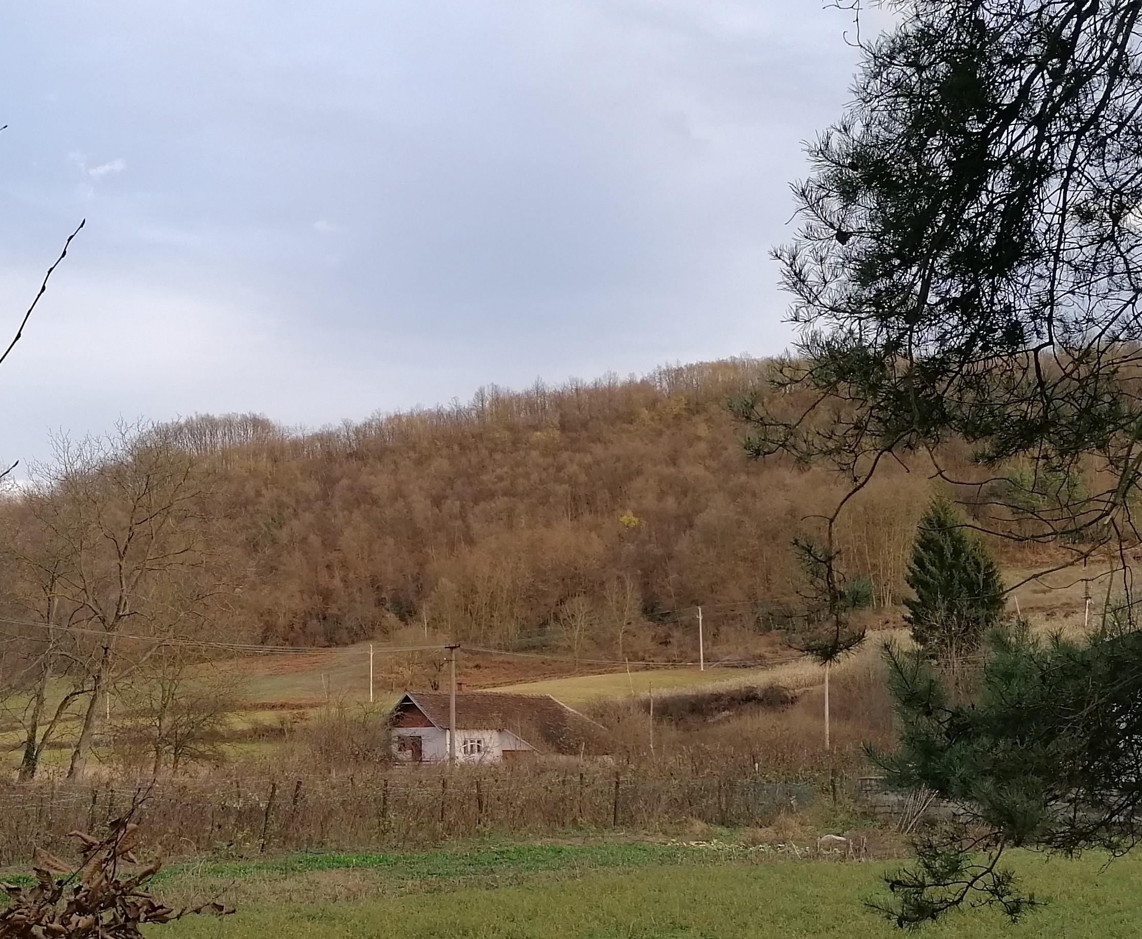 Prodajem vikend kucu i 20 ari placa 1