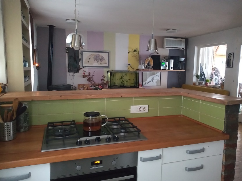 Kuca na obroncima Kosmaja 5