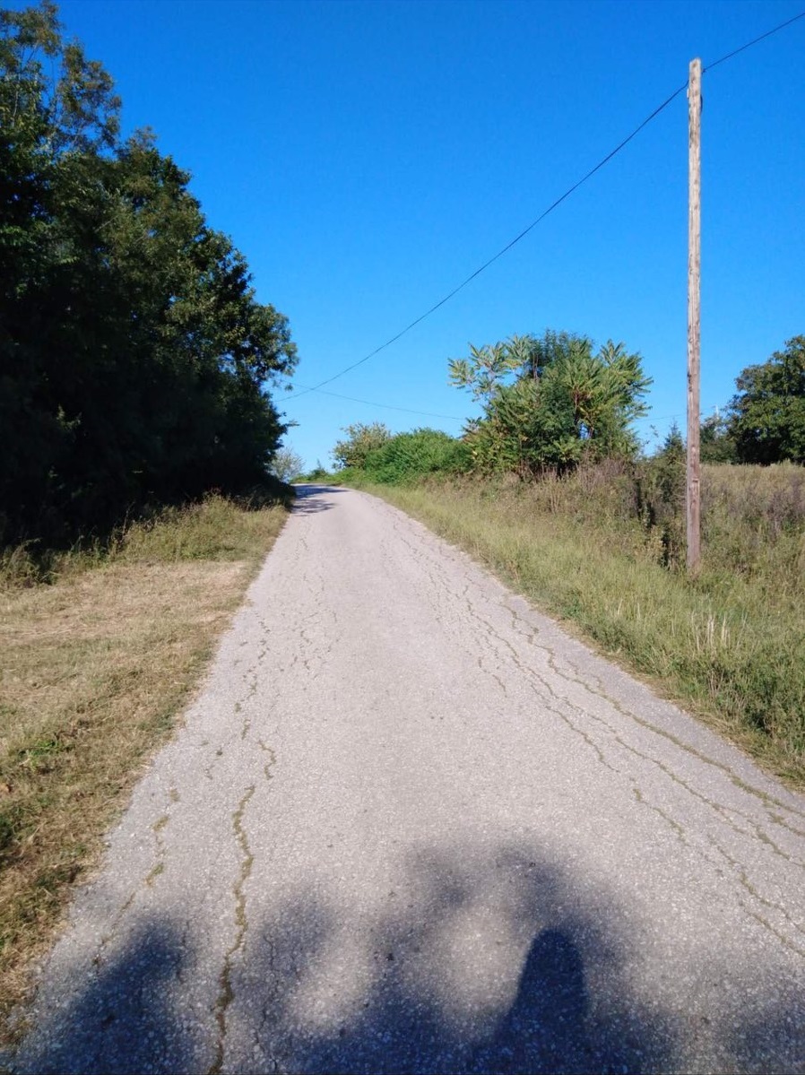 Plac 1 5 hekara izmedju Topole i Arandjelovca 2