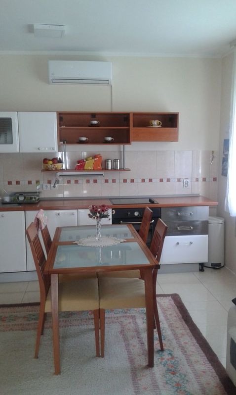 Porodicna kuca u Cacku 2