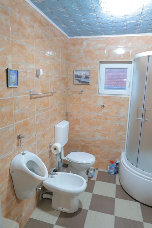 Porodicna kuca sa lokalom 5