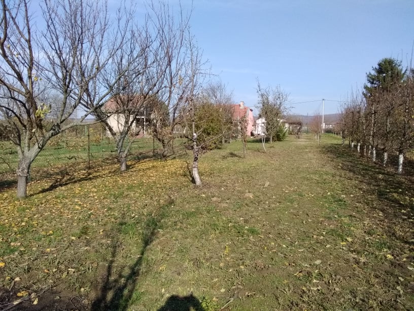 Na prodaju vikendica u Mandjelosu Sremska Mitrovica 5