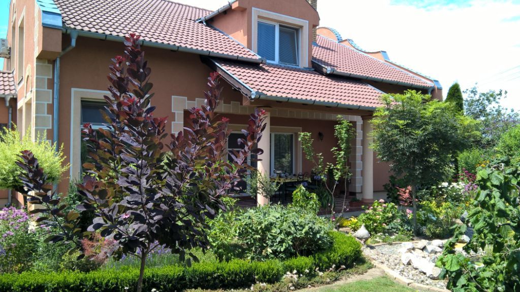 Kuca i komercijalno gazdinstvo 1