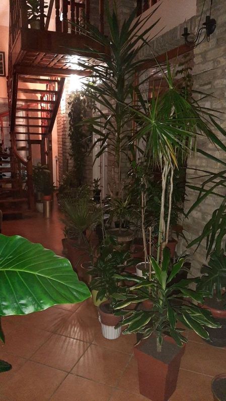 Kuca i komercijalno gazdinstvo 4