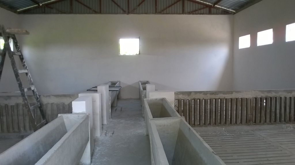 Kuca i komercijalno gazdinstvo 3