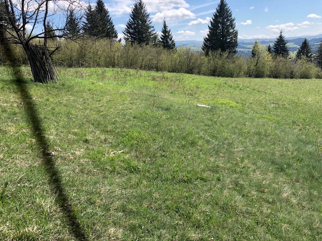 Prodajem zemljiste na Zlataru 2