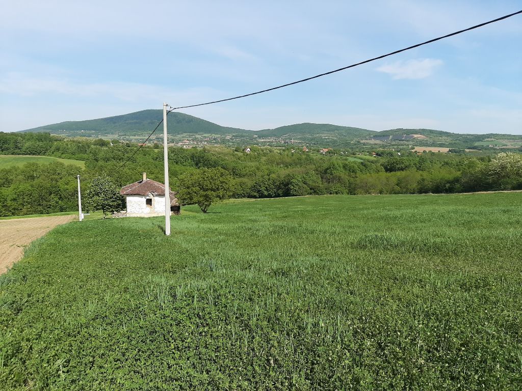 Plac sa pogledom na Kosmaj 1ha i 52ara 4