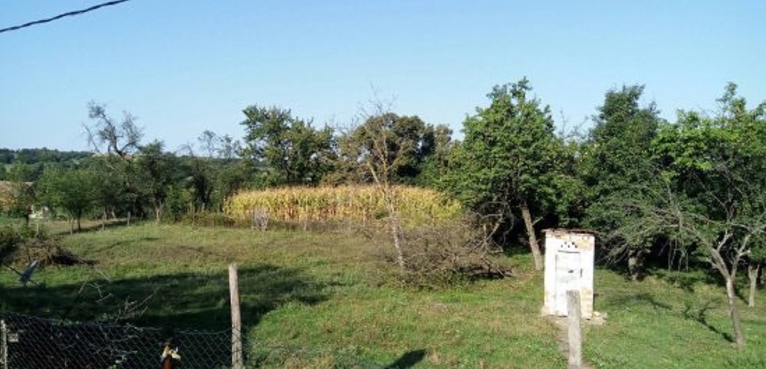 Kuca u Posavo Tamnavski Belotic 3