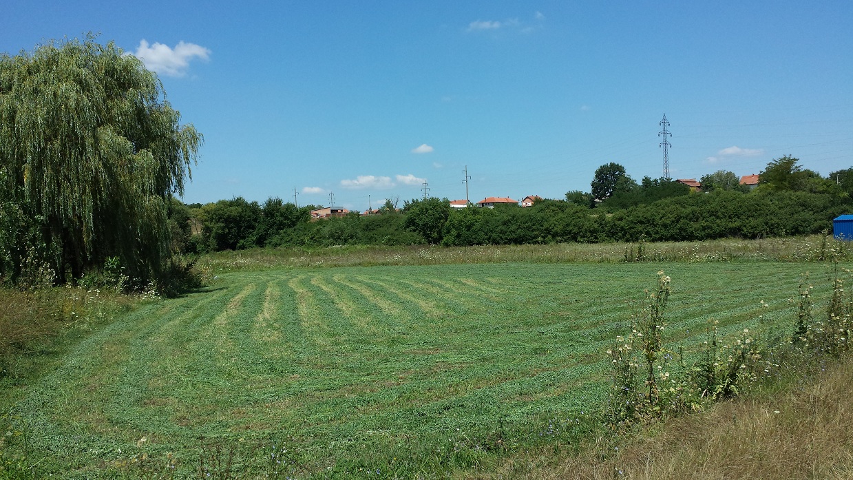 Njiva 71 ari sa bunarom u blizini grada 5