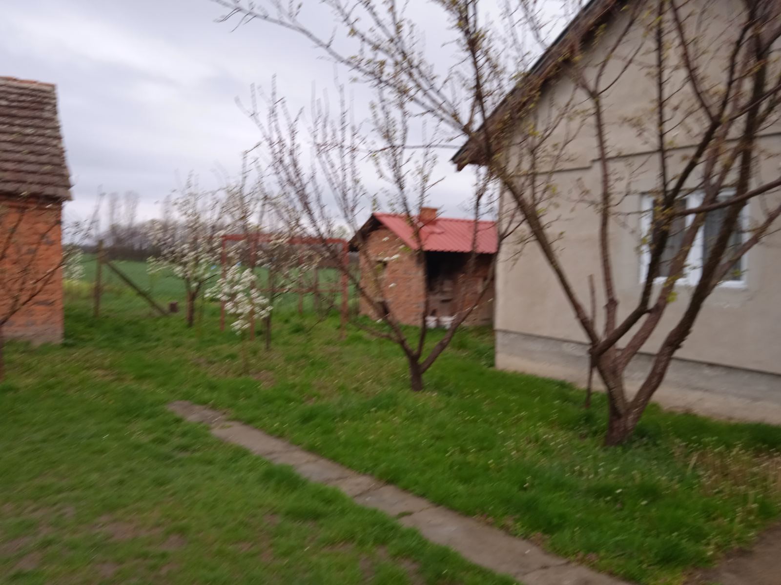 Prodajem kucu u selu Maovi Sabac 1