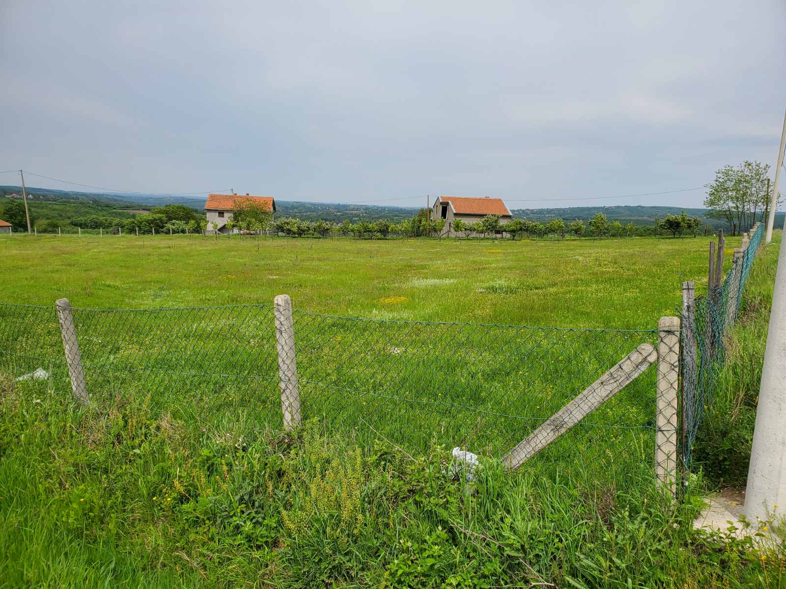 Prodajem plac na Kosmaju 1