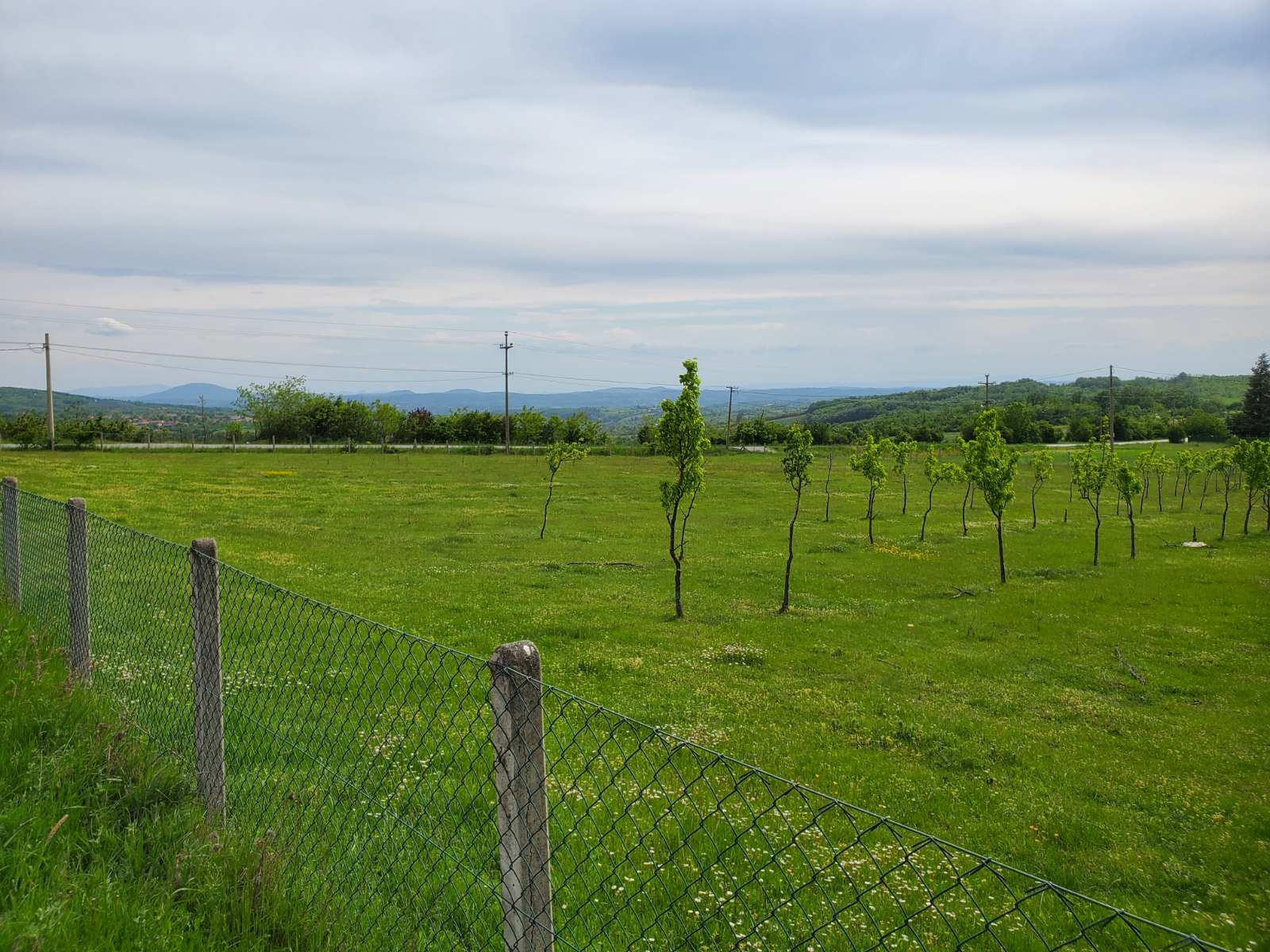 Prodajem plac na Kosmaju 2